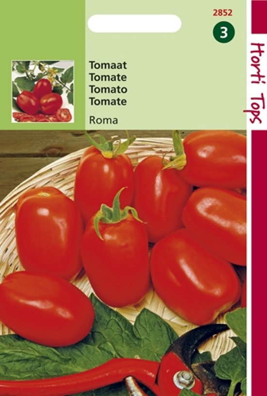Tomate Roma (Solanum) 750 Samen HT